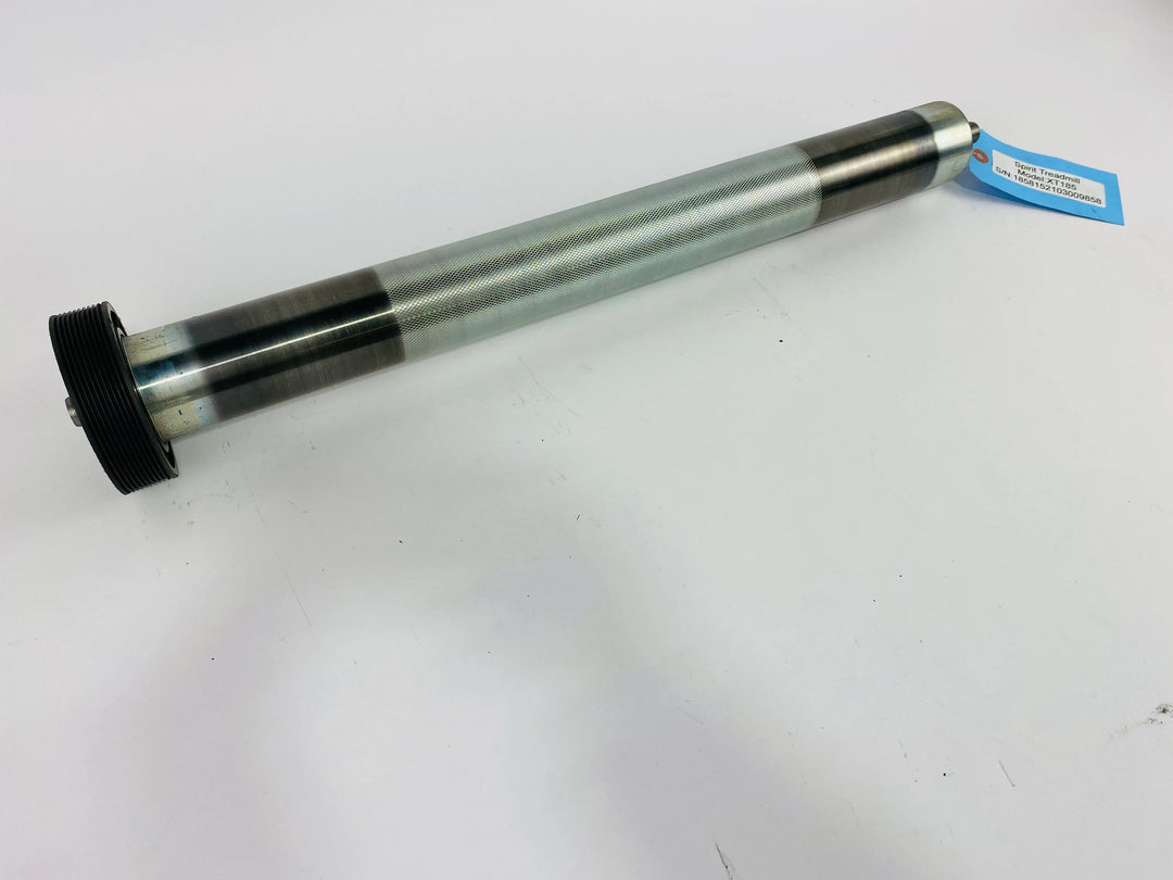 RP306