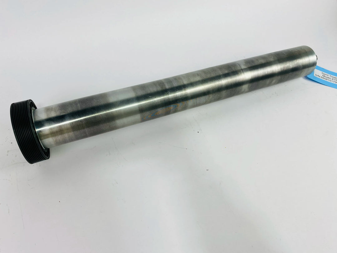 RP319