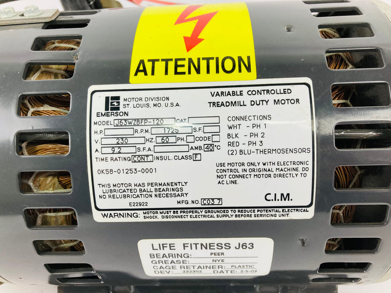 Treadmill Drive Motors
