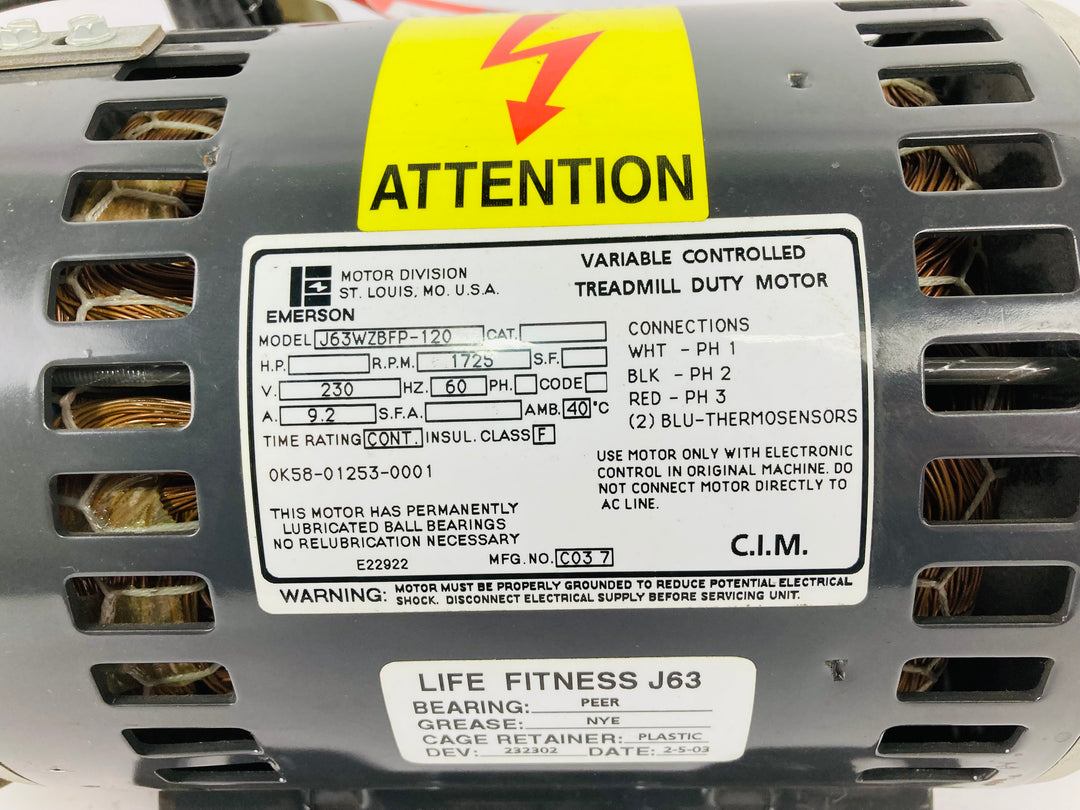 Treadmill Drive Motors