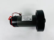 Treadmill Drive Motors