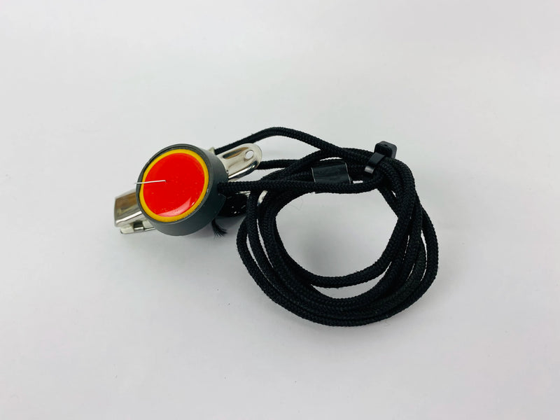 SK273