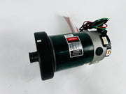 Treadmill Drive Motors