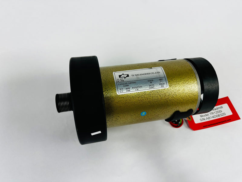 Treadmill Drive Motors
