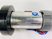 Treadmill Drive Motors