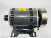 Treadmill Drive Motors