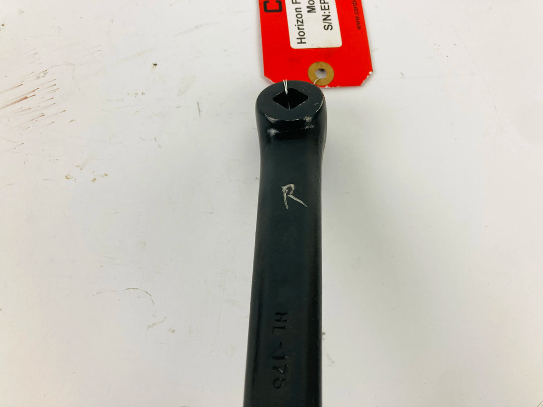 DP79