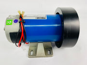 Treadmill Drive Motors