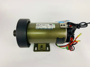 Treadmill Drive Motors