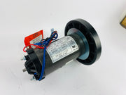 Treadmill Drive Motors