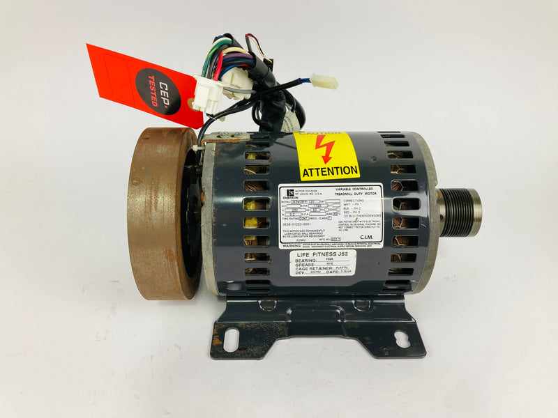 Treadmill Drive Motors