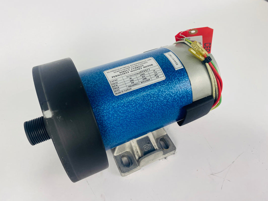 Treadmill Drive Motors